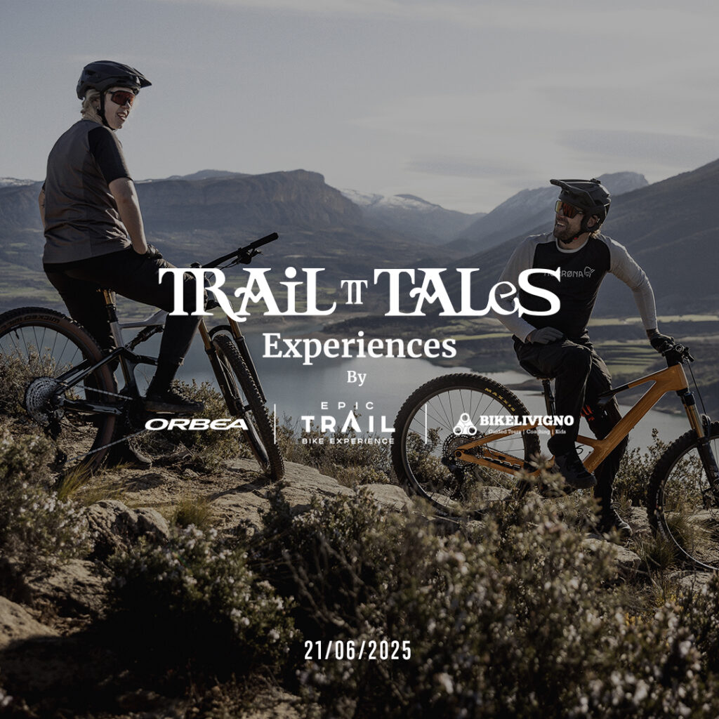 Tail Tales Experience